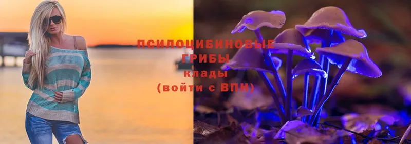 Галлюциногенные грибы Magic Shrooms  ОМГ ОМГ как зайти  Ноябрьск 